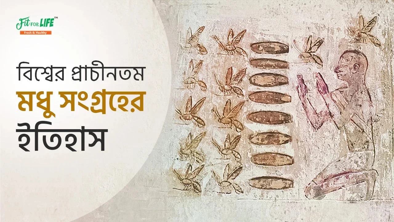 বিশ্বের প্রাচীনতম মধু কোথায় পাওয়া গিয়েছিল ?