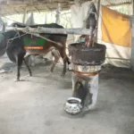 Mustard Oil-গরু টানা কাঠের ঘানি ভাঙ্গা সরিষার তেল - Image 2