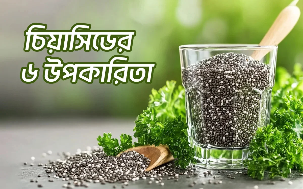 চিয়াসিডের উপকারিতা