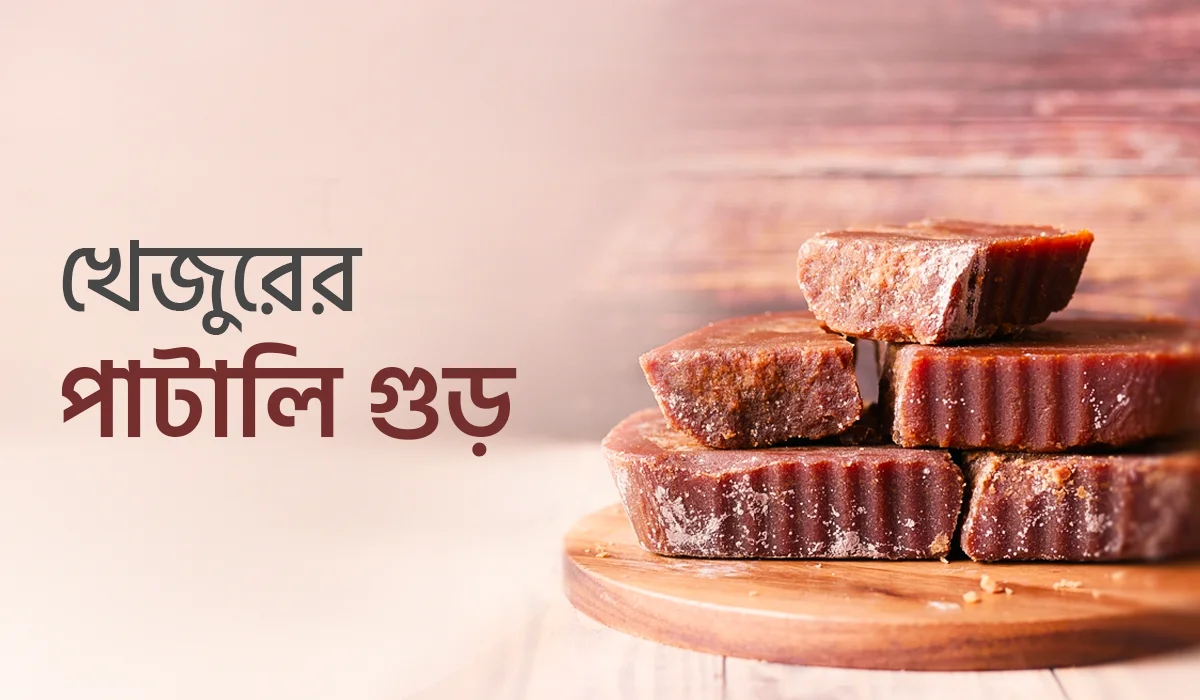 খেজুরের পাটালি গুড়