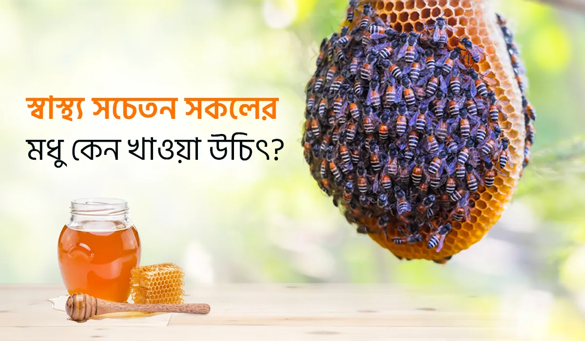স্বাস্থ্য সচেতন সকলের জন্য খাঁটি মধু কেন প্রতিদিনের খাদ্যাভ্যাসে অন্তর্ভুক্ত করবেন?